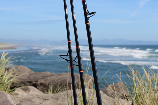 Is $70 a steal? Worth driving 45 minutes for? Lamiglas 11' carbon surf rod,  slightly used : r/Fishing_Gear