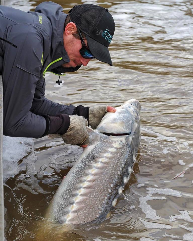 Top Rod Choices for Sturgeon Fishing