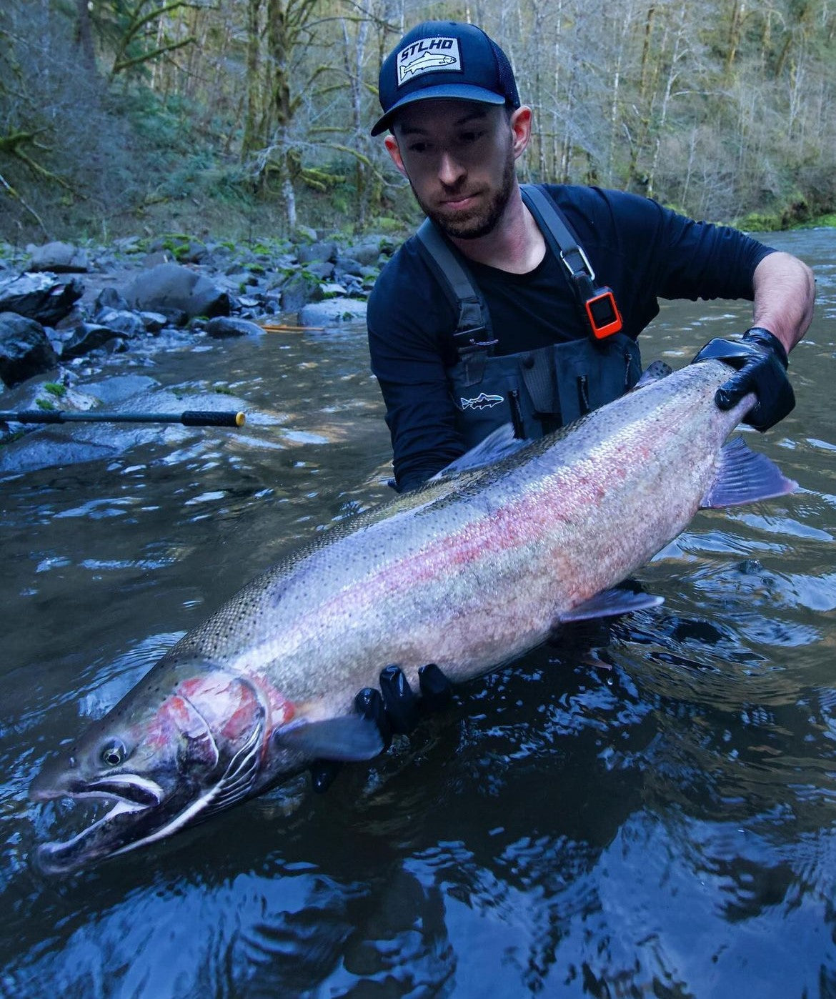 Salmon & Steelhead Rods