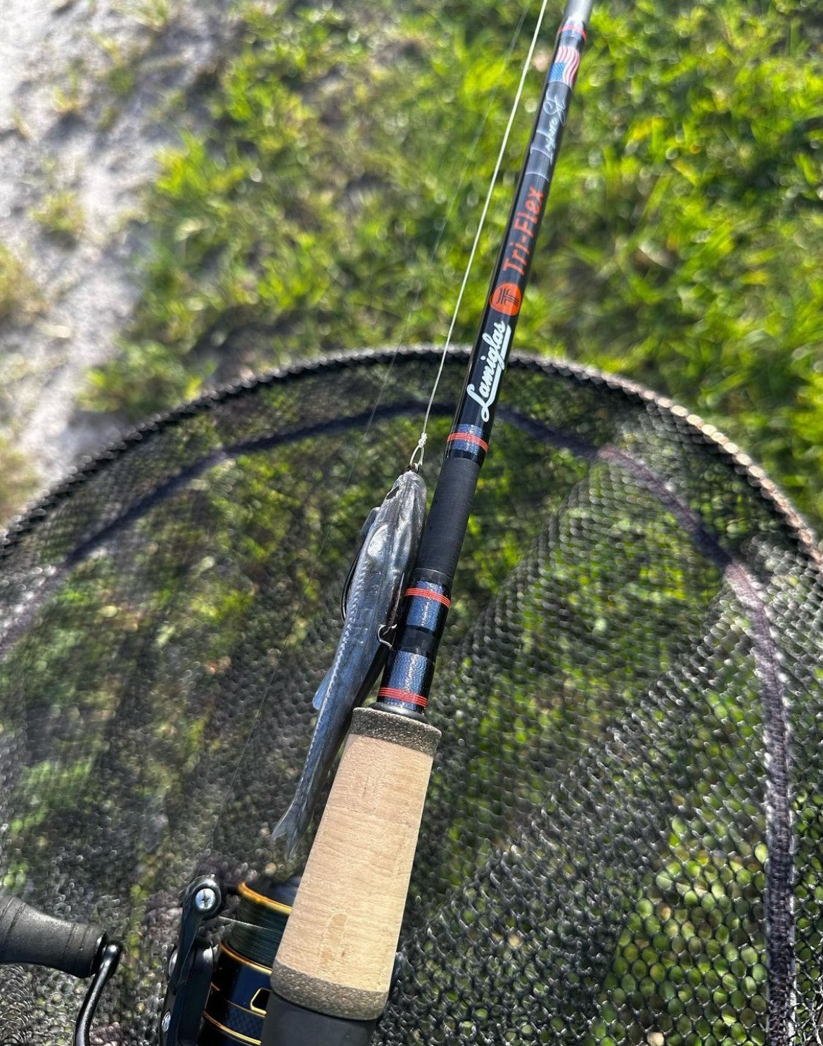 Tri-Flex Inshore SE | TSE710S 7'10" 15-40 lb. Spinning